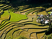 rice dreams, beautiful terracing at Bangaan, near Banaue, Luzon, Philippines