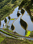 reflected rice terraces at UNESCO World Heritage Site, Banaue, Philippines