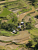traditional Ifugao village amongst rice terraces, Banaue, Philippines