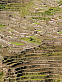 stone walled rice terraces at Malingcong, northern Philippines
