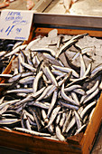 Crate of sardines in meat market. Athens, Greece