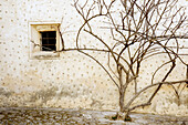 Außen, Baum, Bäume, Detail, Details, Farbe, Fassade, Fassaden, Fenster, Getrocknet, Haus, Häuser, Konzept, Konzepte, Land, Ländlich, Natur, Tageszeit, Trocken, Vegetation, Wand, Wände, T83-552669, agefotostock