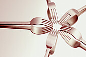 Close up, Close-up, Closeup, Color, Colour, Concept, Concepts, Cutlery, Double, Doubles, Flowers, Food, Fork, Forks, Gastronomy, Gifts, Horizontal, Metal, Nourishment, Object, Objects, Pattern, Patterns, Shadow, Shadows, Silver, Still life, Thing, Things,