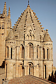 Cocks tower, old cathedral tower, Salamanca. Castilla-León, Spain