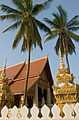 Wat Chane detail, one of the old Buddhist temples in Vientiane. Laos