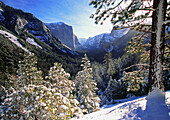 El Capitan. Yosemite National Park. California. USA.