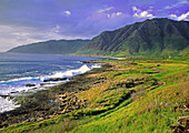 kaena oahu hawaii