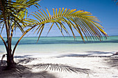 Playa Bávaro, Dominican Republic, Caribbean
