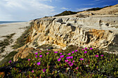 Matalascañas beach. Doñana National Park. Huelva province. Andalucia. Spain