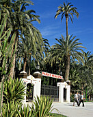 Municipal park. Elche. Alicante province. Spain