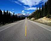 Icefields Parkway. Banff National Park. Alberta. Canada