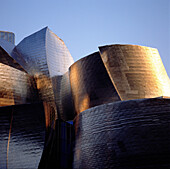 Guggenheim-Museum, von Frank O. Gehry. Bilbao. Biskaya. Spanien