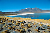 Laguna Cañapa, Los Andes, Southwestern Bolivia