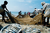 Fishermen in Kovalam. Kerala, India