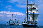 Three-master, Sailing ships on the sea, Kiel week, Kiel, Schleswig Holstein, Germany, Europe