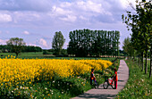 Rapsfeld und Kinder mit Fahrrädern, Schleswig-Holstein, Deutschland, Europa