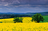 Europe, Germany, Lower Saxony, landscape near Rhüden, Harz