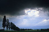 Alley near Duderstadt, Eichsfeld, Lower Saxony, Germany