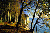 Kreidefelsen im Herbst, Nationalpark Jasmund, Insel Rügen, Mecklenburg-Vorpommern, Deutschland