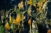 Europe, Germany, Saxony, Elbe Sandstone Mountains, Saxon Switzerland, steep rock walls near Neurathen