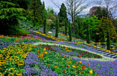 Europe, Germany, Baden-Württemberg, Lake Constance, Mainau Island