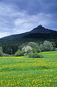 Hohenzollern Castle, Hechingen, Baden-Wurttemberg, Germany