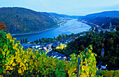 Europa, Deutschland, Rheinland-Pfalz, Blick auf Bacharach, Rhein