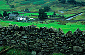 Europa, Grossbritannien, England, Cumbria, Newlands Valley