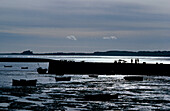 Europe, England, Berkshire, Northumberland, Holy Island