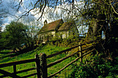 Europa, Grossbritannien, England, West Sussex, Chithurst, Kirche St. Mary's