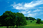 Europa, England, Gloucestershire, Cotswolds, bei Stanton