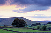 Europe, England, Yorkshire, North Yorkshire, near Hawes