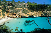 Europe, Spain, Majorca, Cala s' Amonia