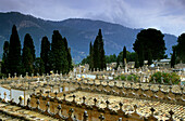 Europe, Spain, Majorca, Andratx, graveyard
