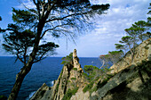 Europa, Spanien, Mallorca, bei Port d'es Cannoge, Nordküste