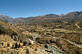 Terrace cultivation at Colca Canyon, Chivay, Peru, South America