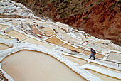 Inca woman in the salt pans of Salinas, Valle Sagrado de los Inca, Sacred Valley, Peru, Soth America