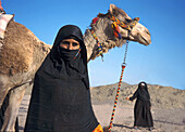 Bedouin women with camels