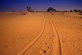 Tracks on sand. Rajasthan. India