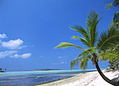 Kalpeni island. Lakshadweep. India