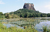 Sigiriya Rock. Sri Lanka