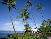 USA, Hawaii. Kahaluu Bay, St Peters Church