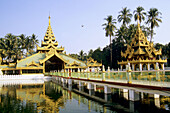 Buddhist temple and monastery, Yangon. Myanmar