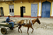 Street scene, horse cart. Trinidad. Cuba.