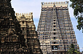 Sri Ranganathaswamy Temple. Tiruchirapalli. Tamil Nadu. India.