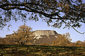 Sierra de Collsacabra. Osona, Barcelona province. Catalonia, Spain