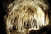 Carlsbad Caverns National Park. New Mexico. USA