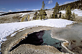 Tortoise shell spring, pool. Yellowstone National Park. Wyoming. USA