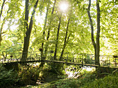 Ohlsdorf cemetery, Hamburg, Germany