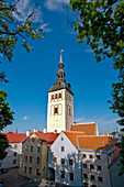 St. Nicolai church, Tallinn, Estonia, Europe